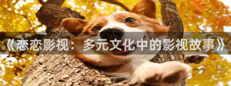 玖玖視頻免費(fèi)：《戀戀影視：多元文化中的影視故事》