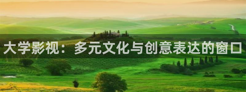 色玖玖視頻：大學(xué)影視：多元文化與創(chuàng)意表達(dá)的窗口
